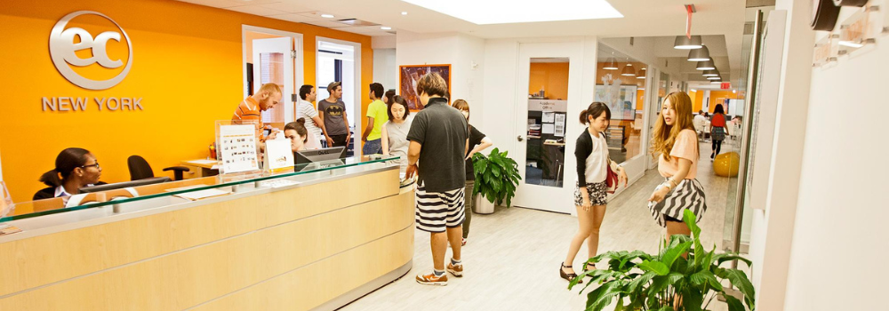 GoToLearn - EC New York 3