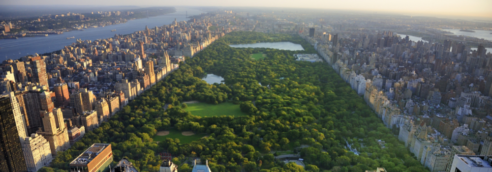 GoToLearn - EC New York 5