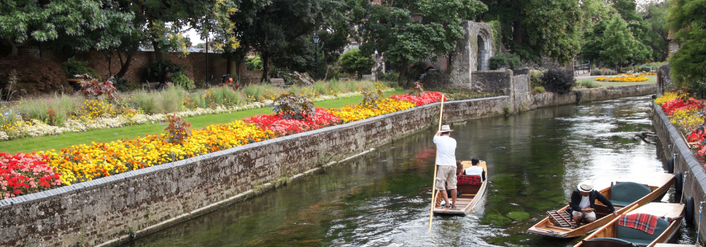 GoToLearn - Stafford House Canterbury 2